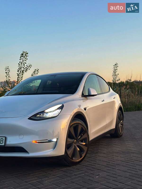 Внедорожник / Кроссовер Tesla Model Y 2020 в Днепре