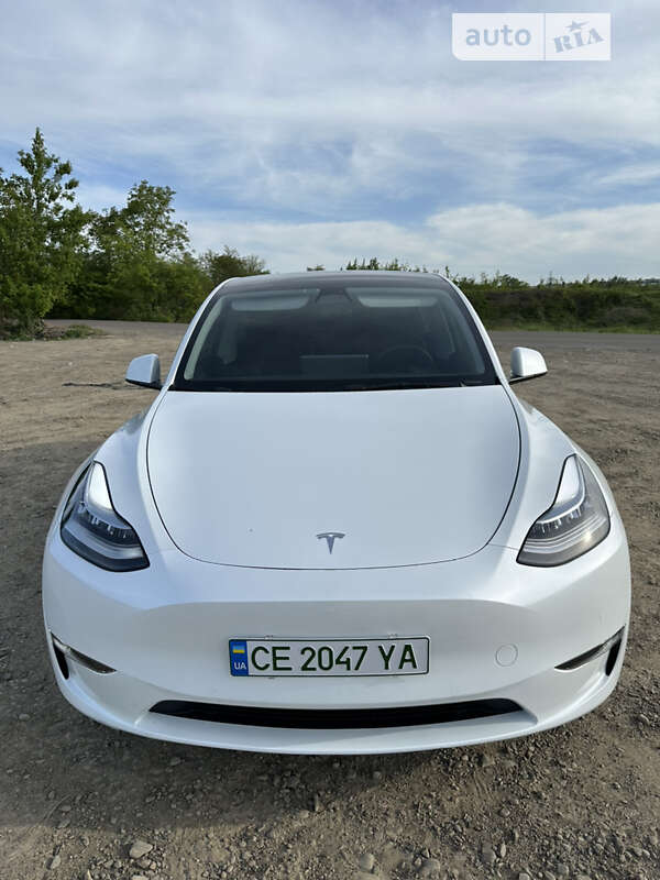 Внедорожник / Кроссовер Tesla Model Y 2021 в Черновцах