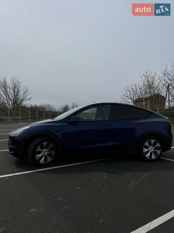 Внедорожник / Кроссовер Tesla Model Y 2020 в Виннице