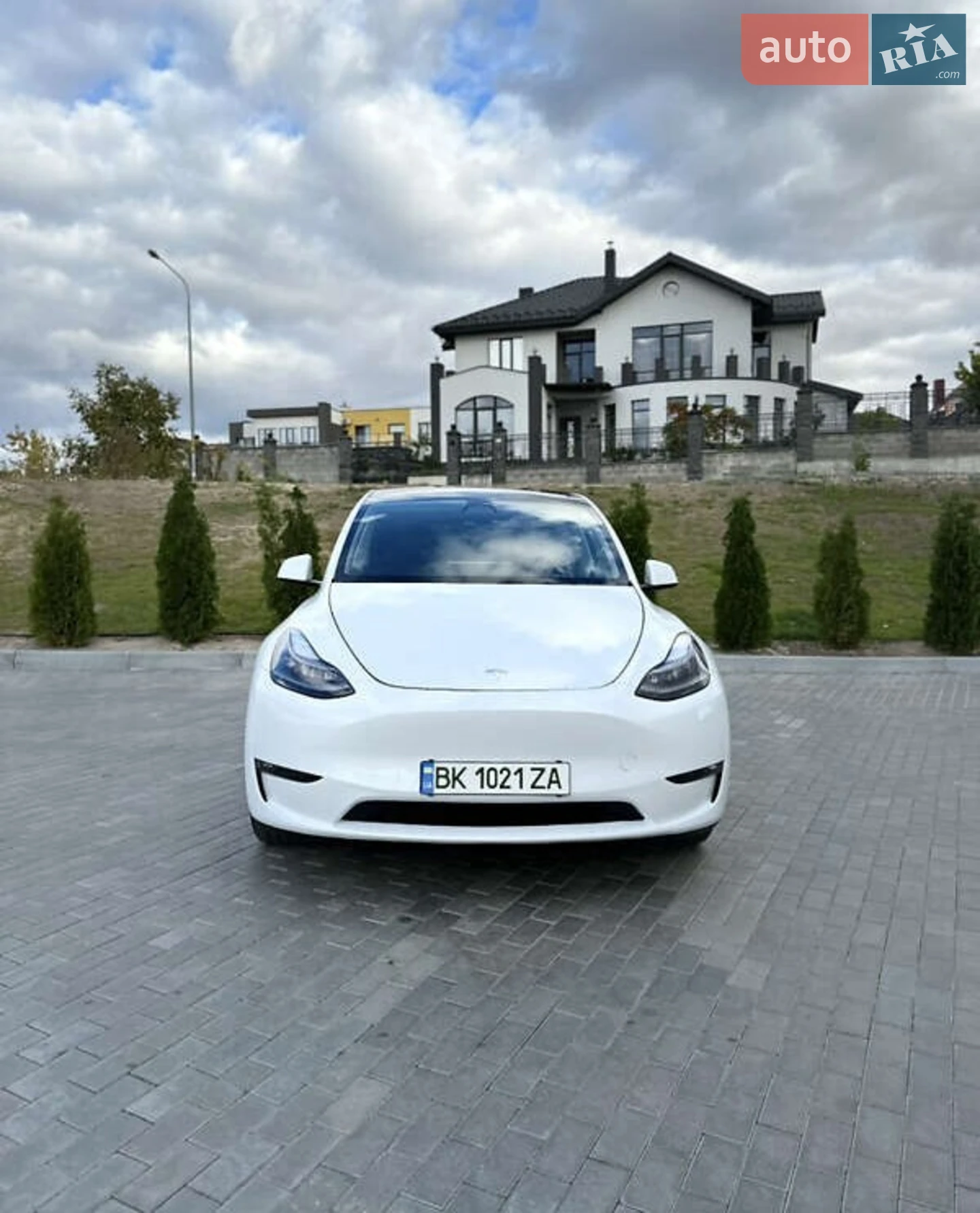 2023 Tesla Model Y - фото 1