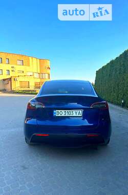 Внедорожник / Кроссовер Tesla Model Y 2021 в Рогатине