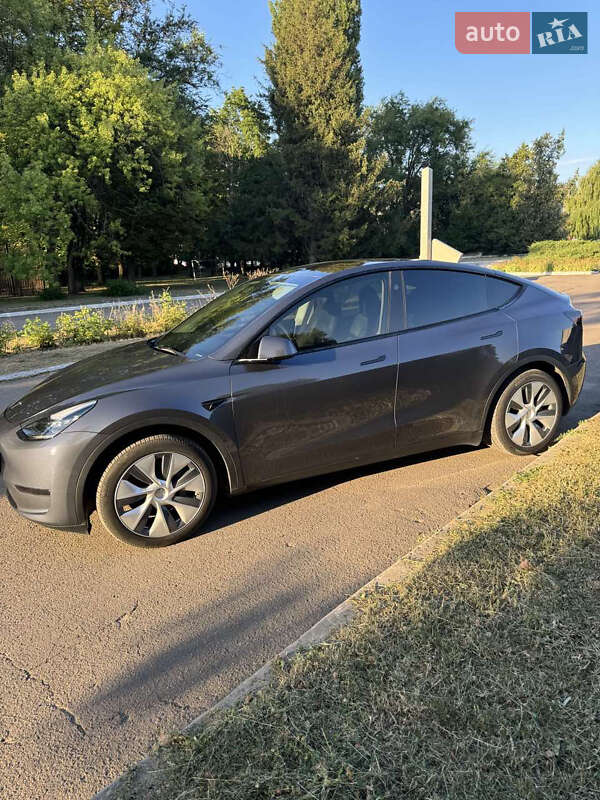 Внедорожник / Кроссовер Tesla Model Y 2023 в Днепре