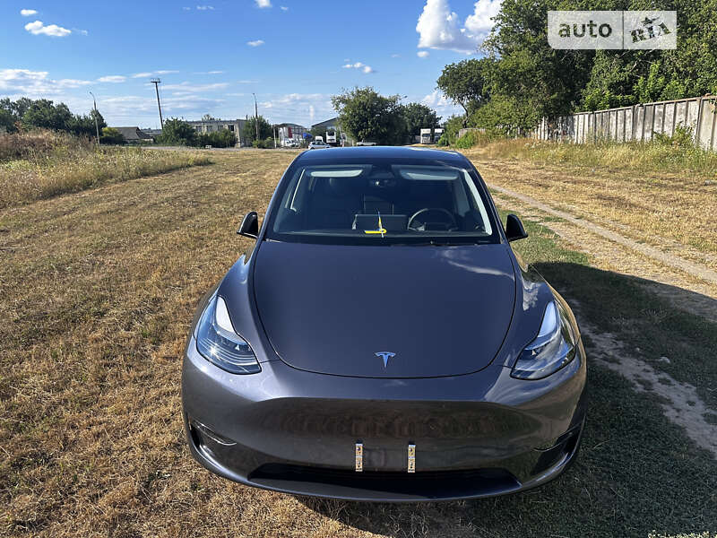 Внедорожник / Кроссовер Tesla Model Y 2023 в Черкассах