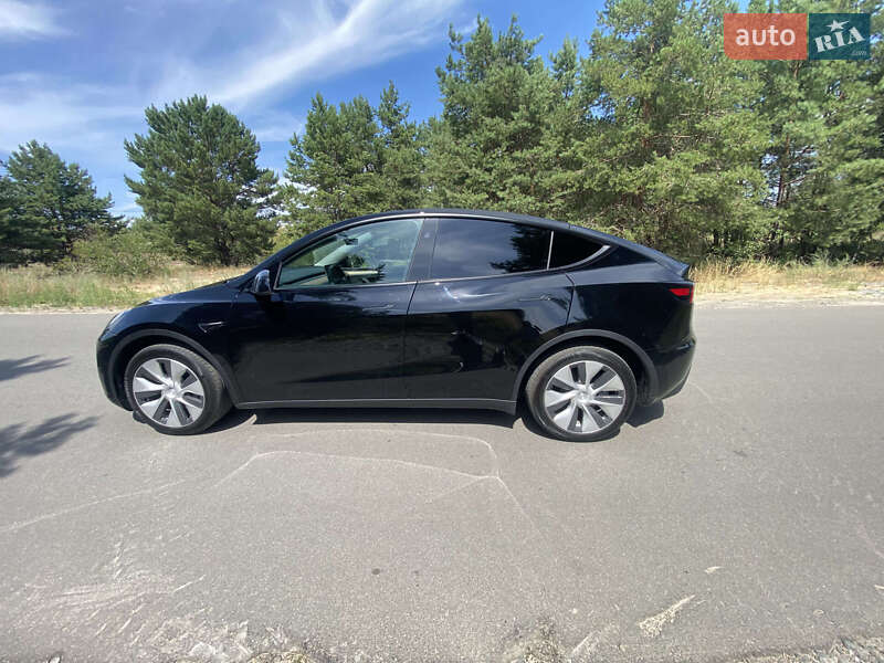 Внедорожник / Кроссовер Tesla Model Y 2023 в Киеве