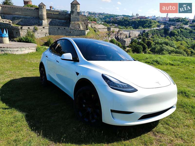 Внедорожник / Кроссовер Tesla Model Y 2020 в Каменец-Подольском