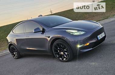 Внедорожник / Кроссовер Tesla Model Y 2020 в Днепре