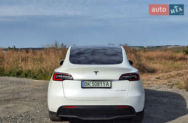 Внедорожник / Кроссовер Tesla Model Y 2020 в Ровно