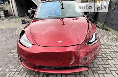 Позашляховик / Кросовер Tesla Model Y 2024 в Луцьку