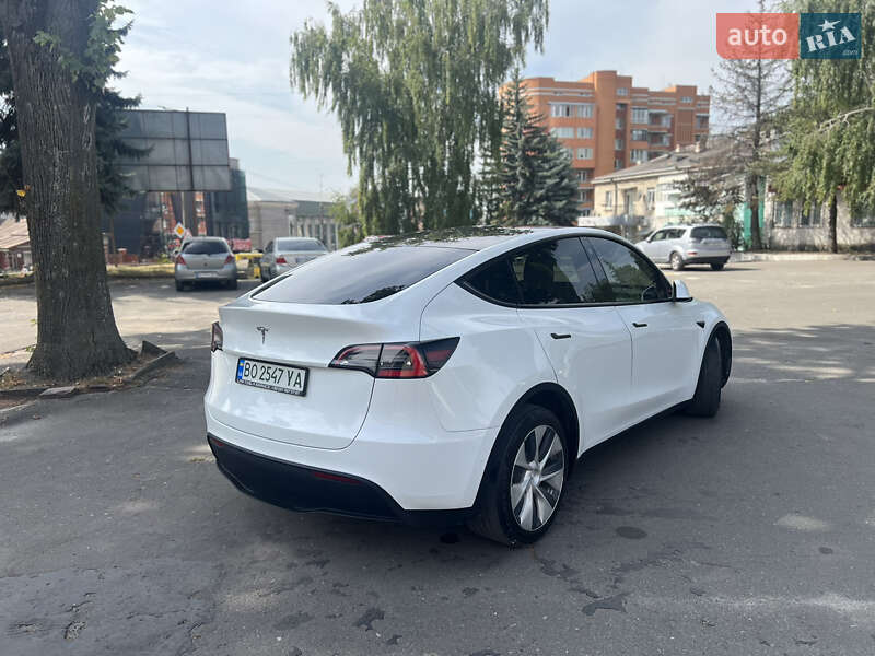 Внедорожник / Кроссовер Tesla Model Y 2020 в Тернополе