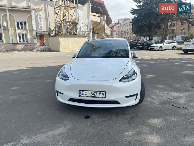 Внедорожник / Кроссовер Tesla Model Y 2020 в Тернополе
