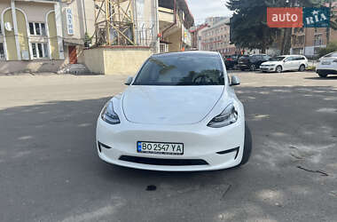 Внедорожник / Кроссовер Tesla Model Y 2020 в Тернополе