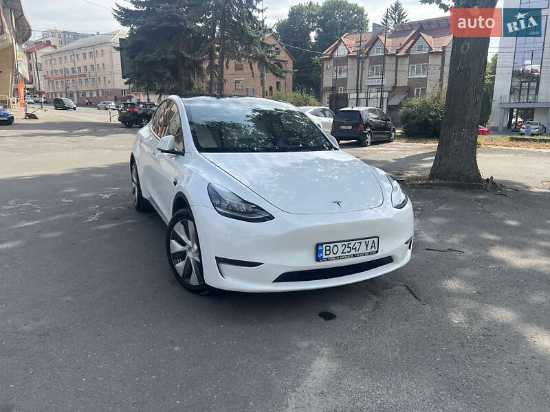 Внедорожник / Кроссовер Tesla Model Y 2020 в Тернополе