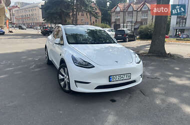 Внедорожник / Кроссовер Tesla Model Y 2020 в Тернополе