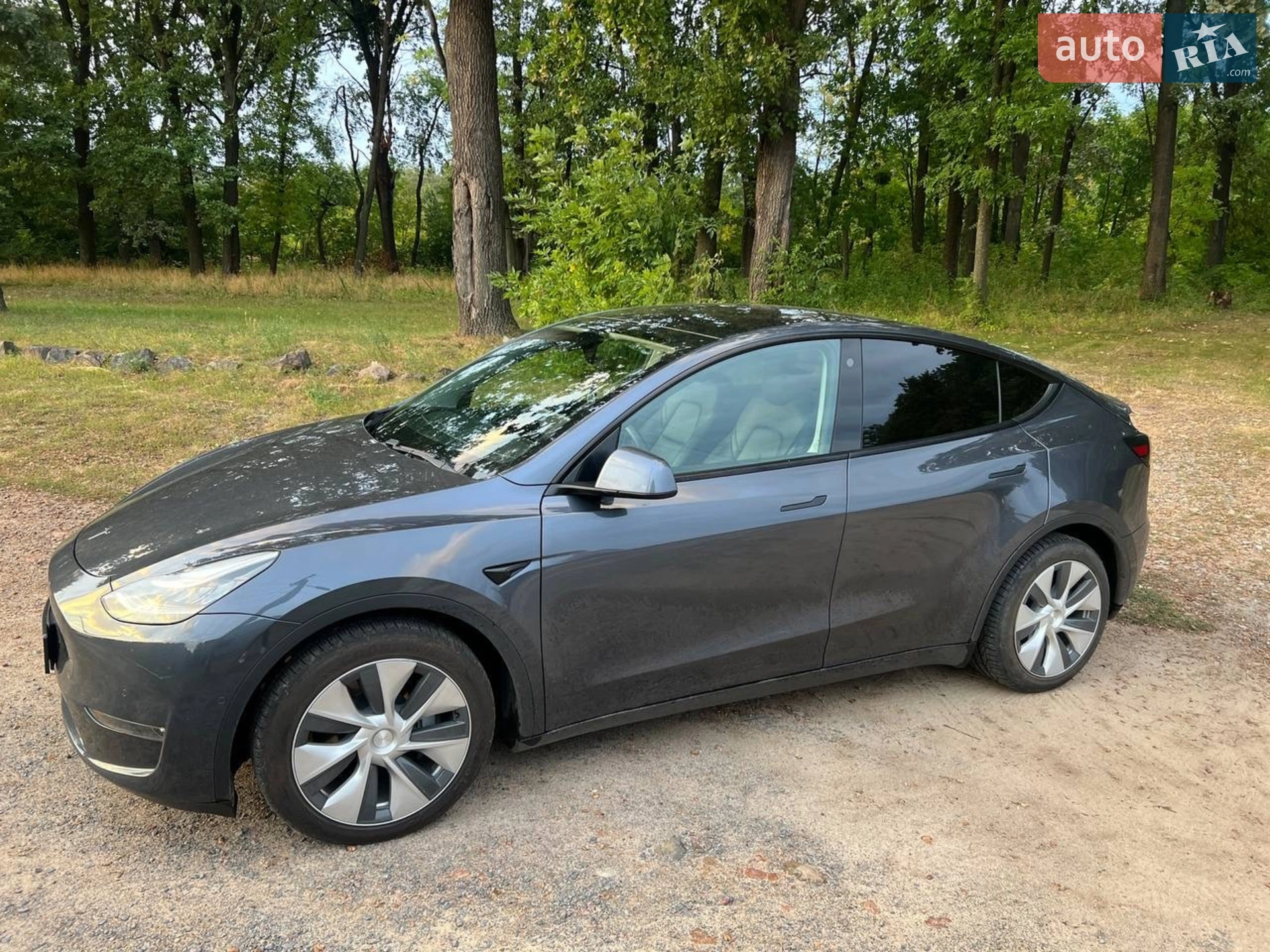 2020 Tesla Model Y - мініатюра 7