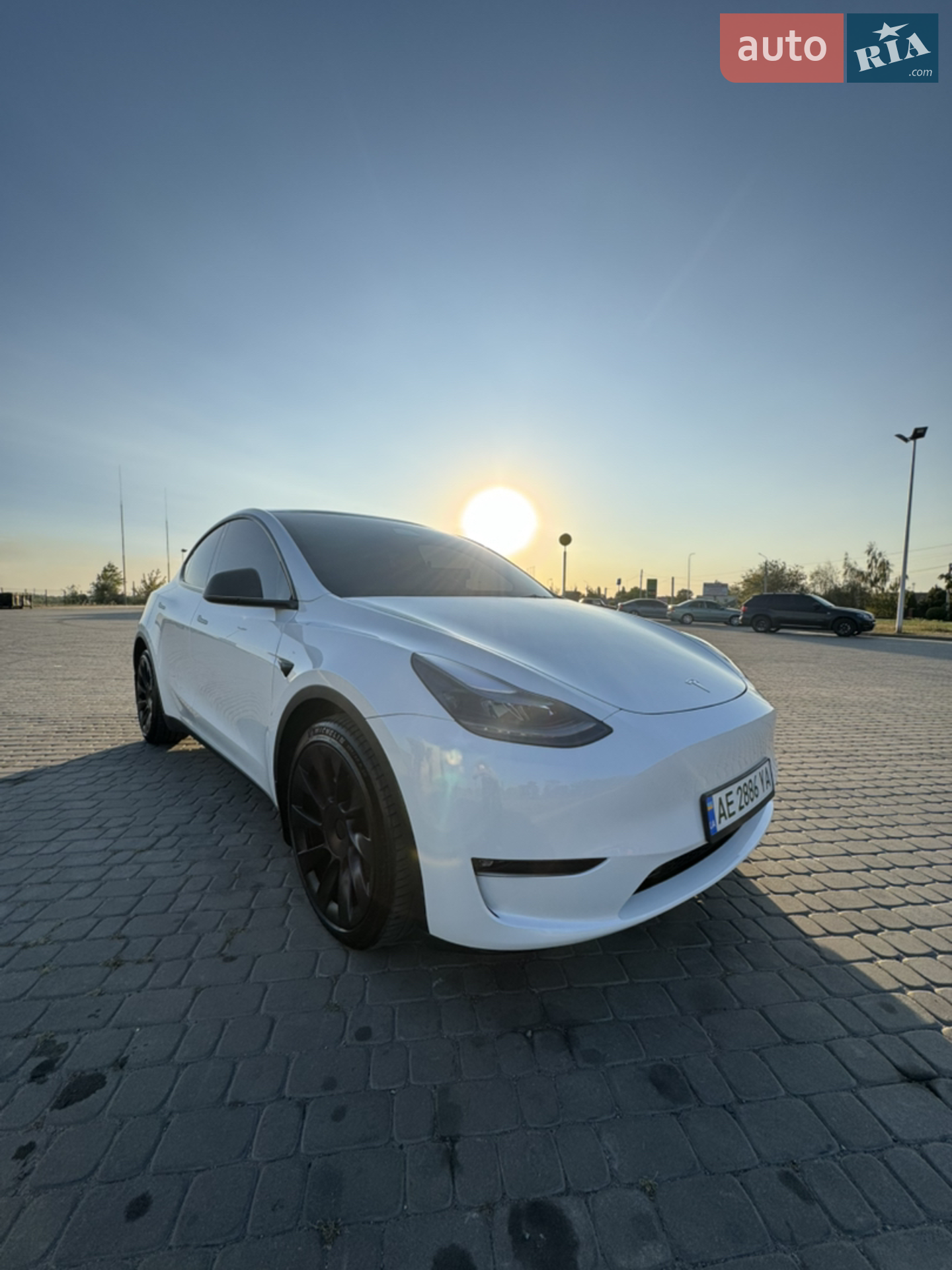 2023 Tesla Model Y - фото 1