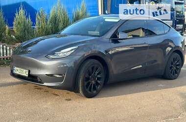 Внедорожник / Кроссовер Tesla Model Y 2021 в Олевске