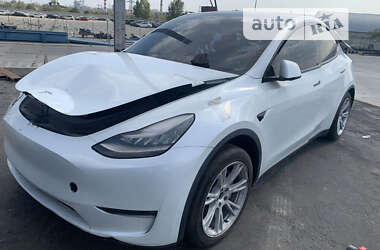 Позашляховик / Кросовер Tesla Model Y 2021 в Бердичеві