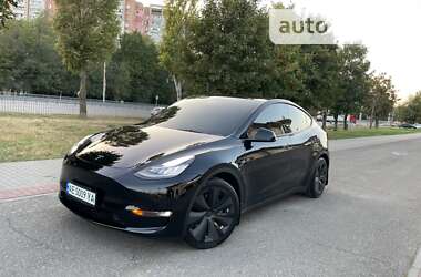 Позашляховик / Кросовер Tesla Model Y 2021 в Дніпрі