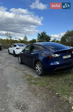 Внедорожник / Кроссовер Tesla Model Y 2021 в Черкассах