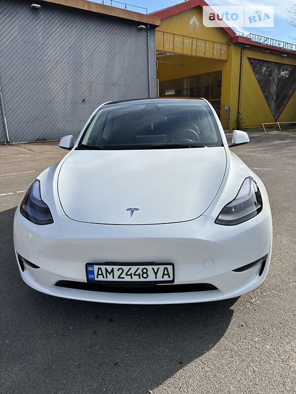 Внедорожник / Кроссовер Tesla Model Y 2023 в Житомире