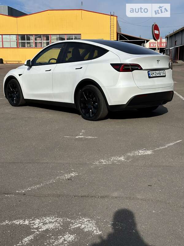 Внедорожник / Кроссовер Tesla Model Y 2023 в Житомире