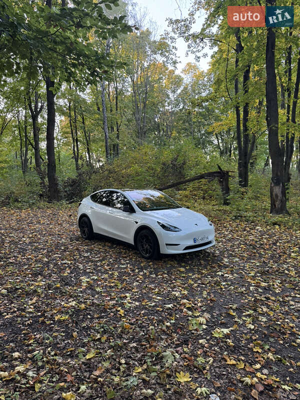 Внедорожник / Кроссовер Tesla Model Y 2022 в Тернополе фото 17 Внедорожник / Кроссовер Tesla Model Y 2022 в Тернополе