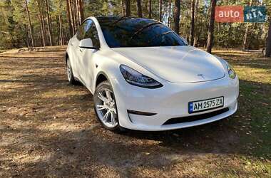 Внедорожник / Кроссовер Tesla Model Y 2023 в Житомире