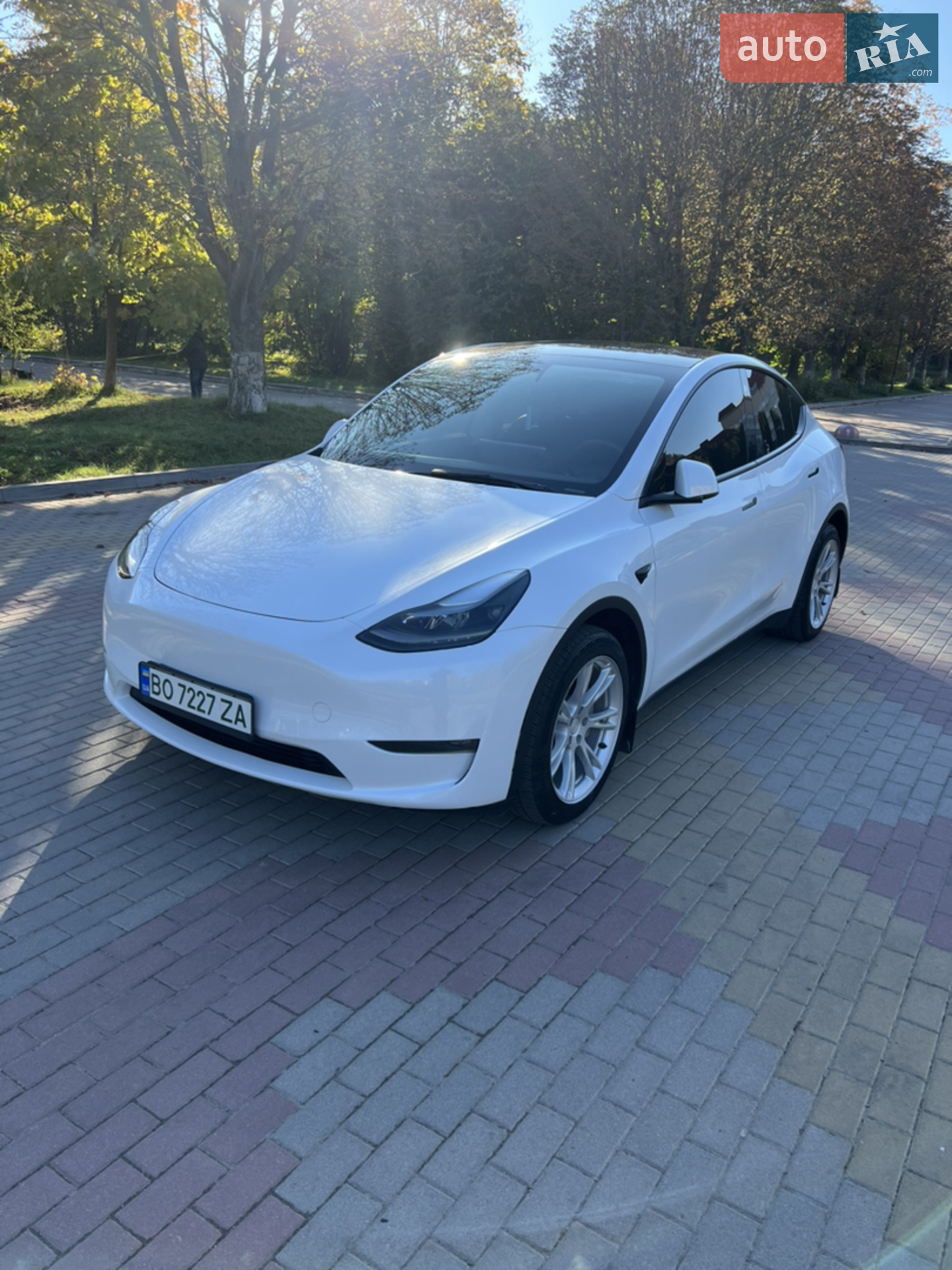 2022 Tesla Model Y - фото 1