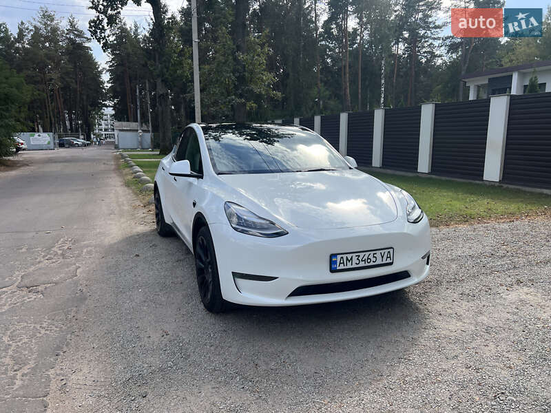 Позашляховик / Кросовер Tesla Model Y 2022 в Житомирі