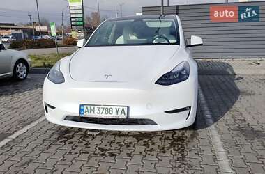 Позашляховик / Кросовер Tesla Model Y 2023 в Житомирі