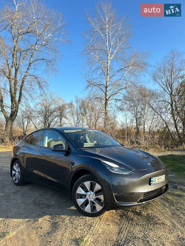 Внедорожник / Кроссовер Tesla Model Y 2024 в Киеве