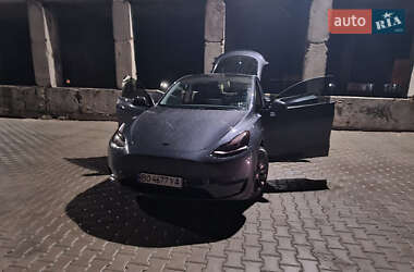 Внедорожник / Кроссовер Tesla Model Y 2023 в 