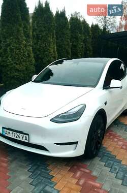 Внедорожник / Кроссовер Tesla Model Y 2022 в Олевске