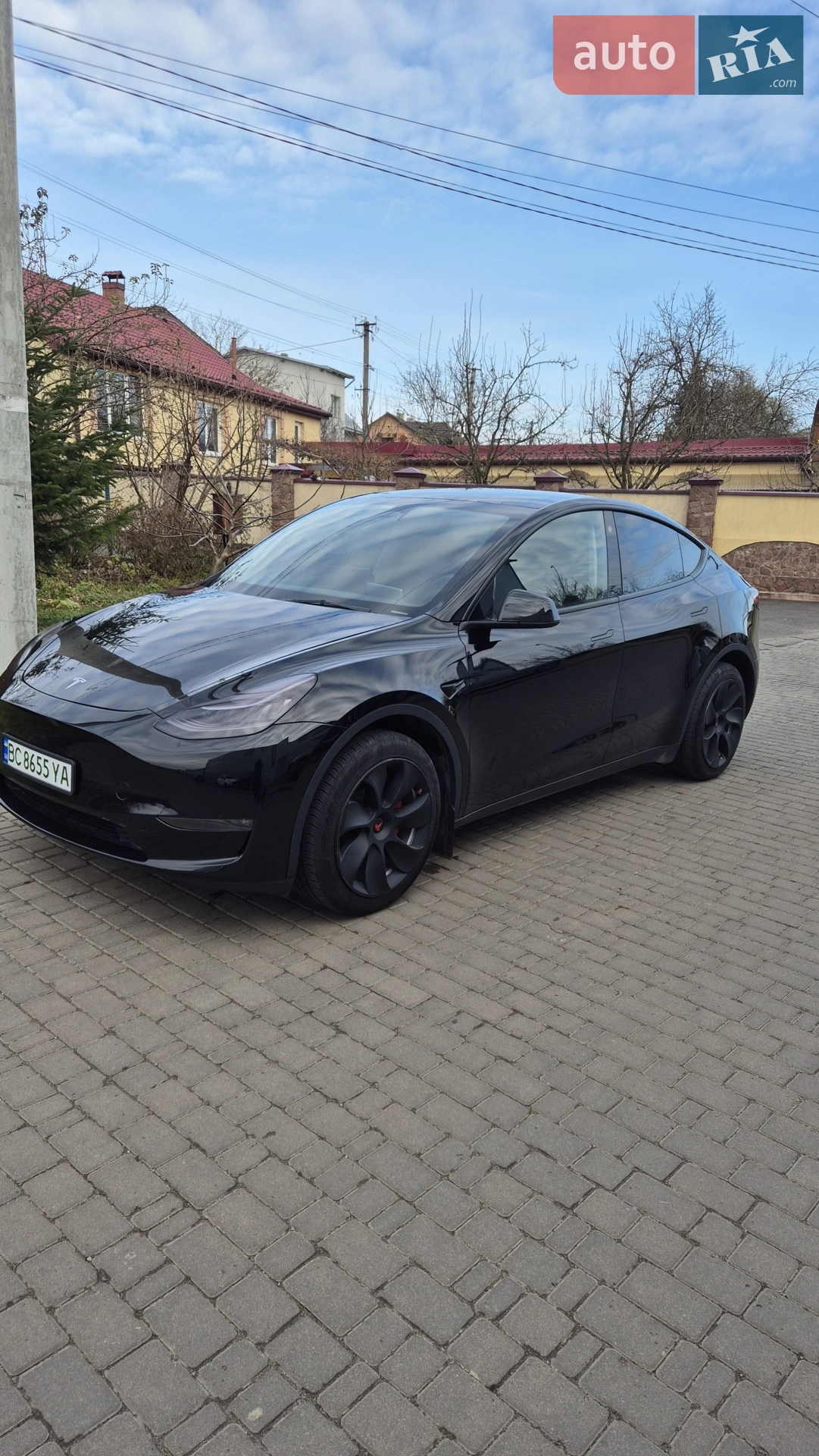 2023 Tesla Model Y - фото 1