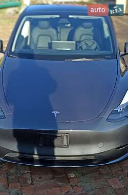 Внедорожник / Кроссовер Tesla Model Y 2023 в Жмеринке