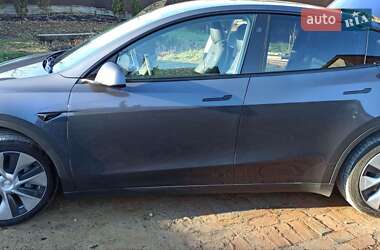 Внедорожник / Кроссовер Tesla Model Y 2023 в Жмеринке