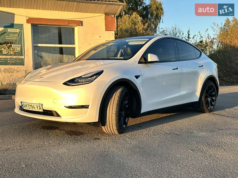 Позашляховик / Кросовер Tesla Model Y 2020 в Олевську
