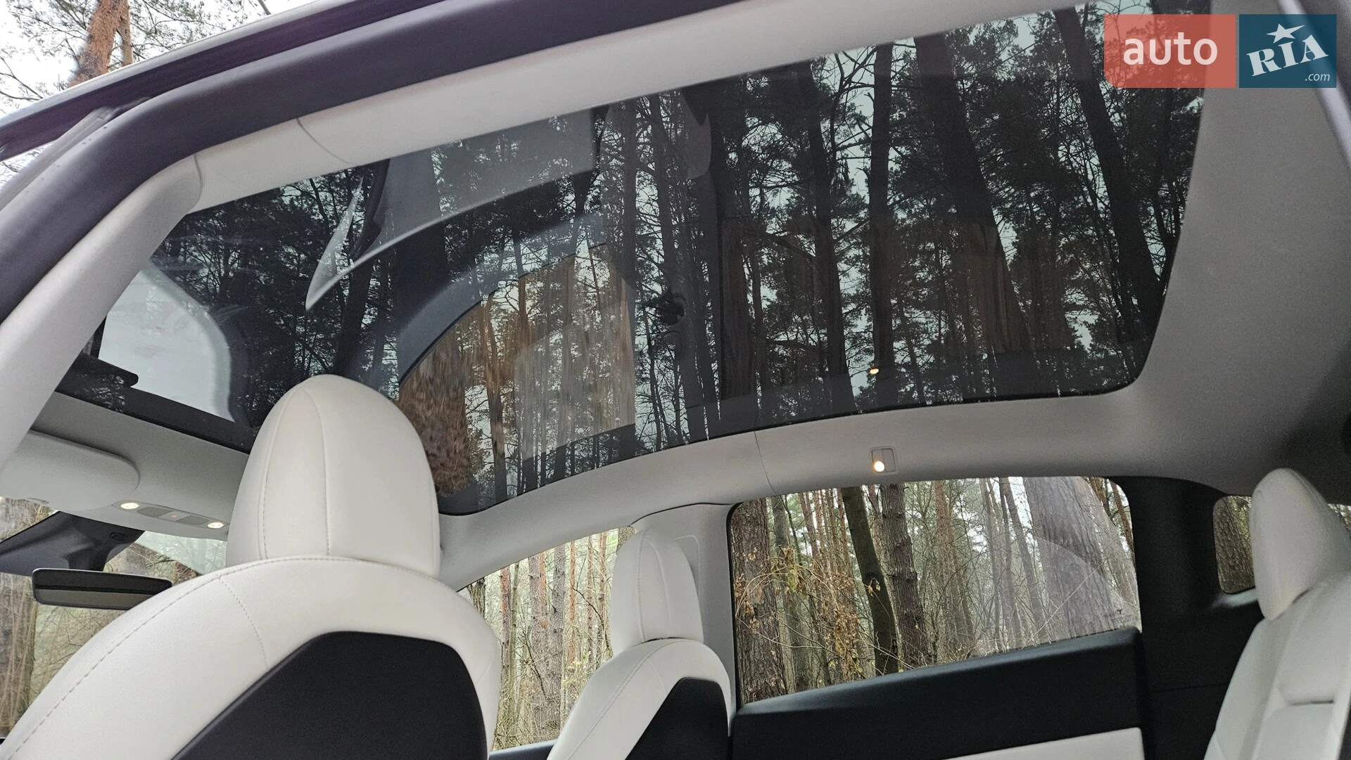 2020 Tesla Model Y - мініатюра 14