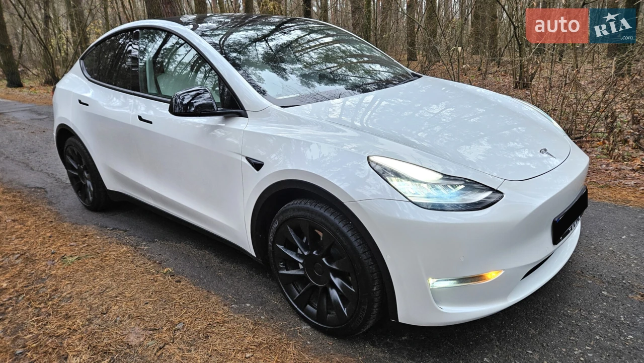 2021 Tesla Model Y - мініатюра 31
