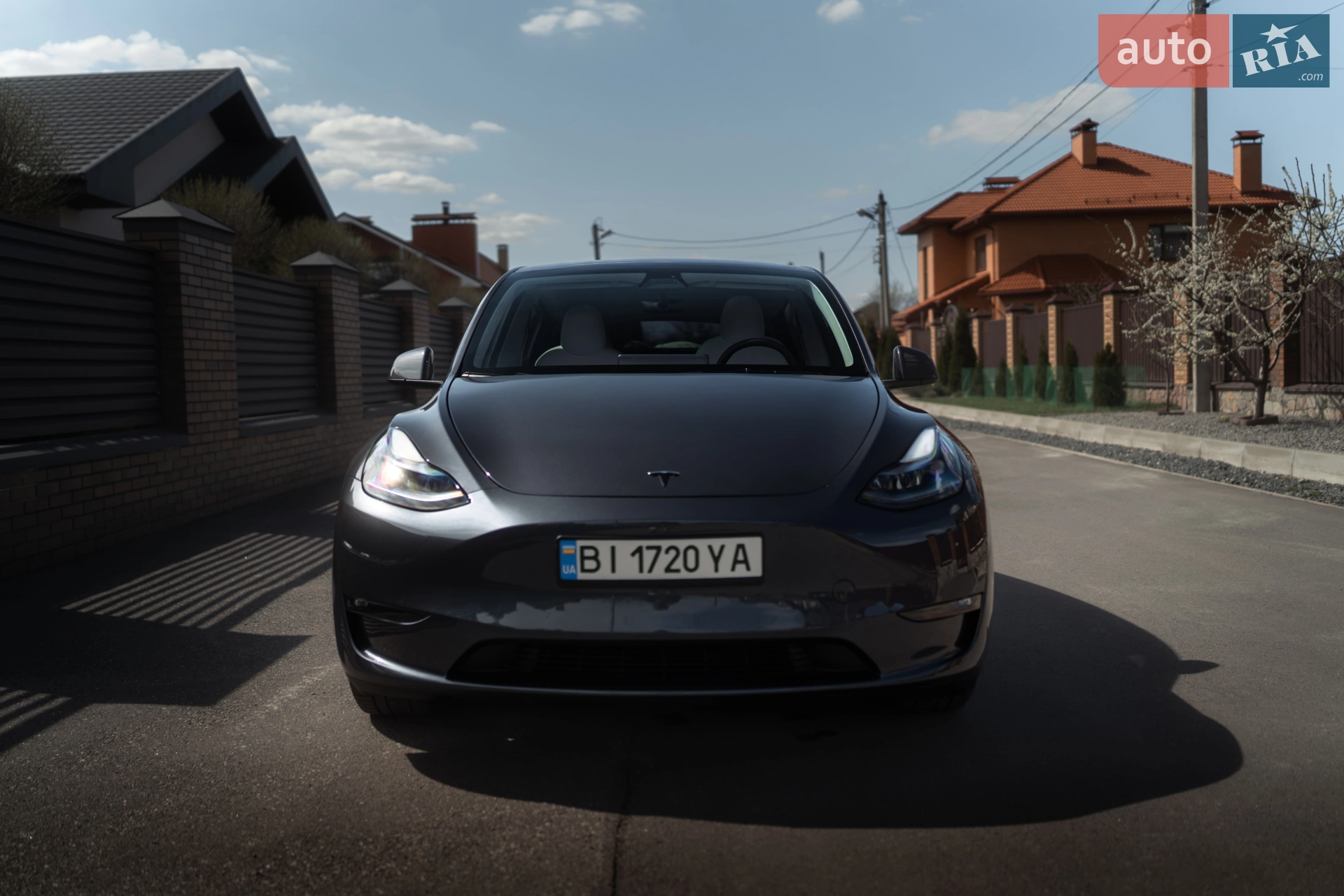 2023 Tesla Model Y - фото 1