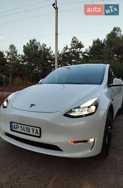 Внедорожник / Кроссовер Tesla Model Y 2023 в Запорожье