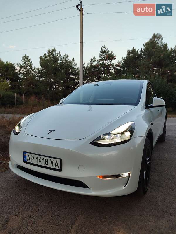 Внедорожник / Кроссовер Tesla Model Y 2023 в Запорожье