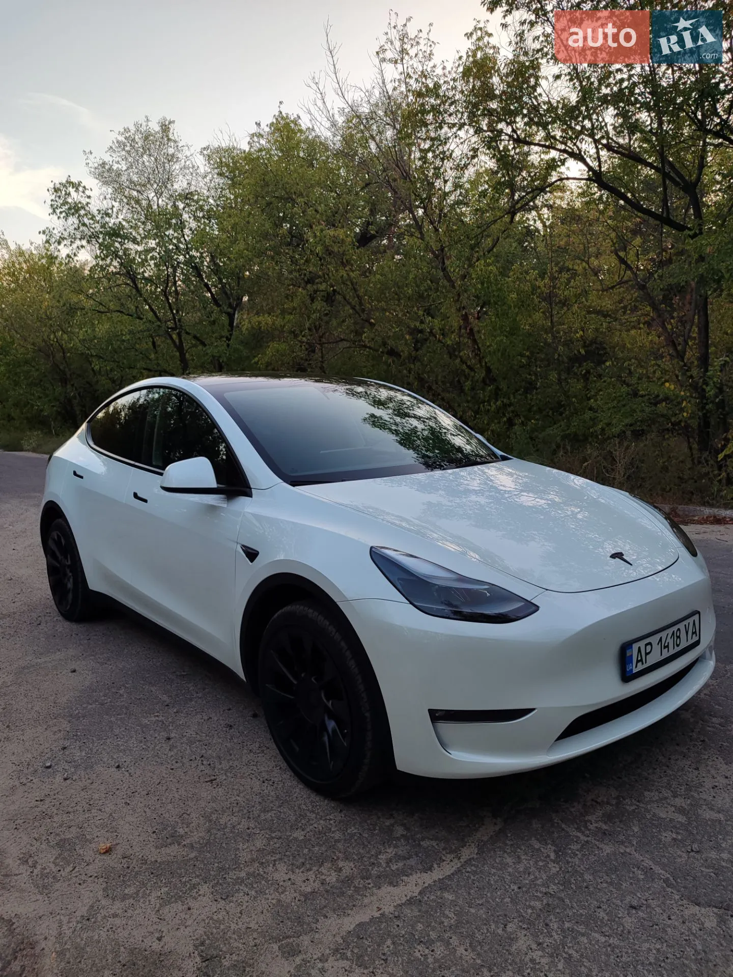 2023 Tesla Model Y - мініатюра 12
