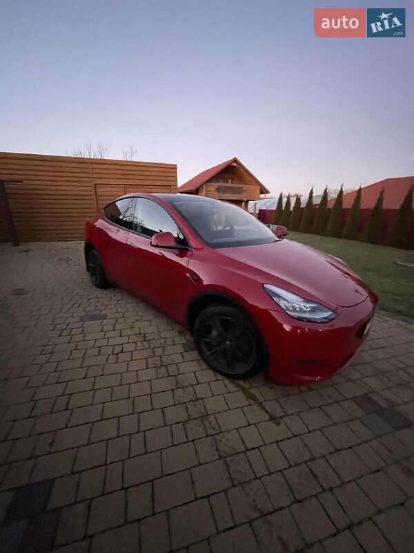 Внедорожник / Кроссовер Tesla Model Y 2021 в Львове