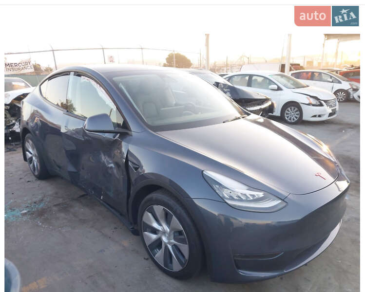 Позашляховик / Кросовер Tesla Model Y 2023 в Харкові