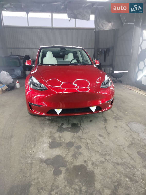 Внедорожник / Кроссовер Tesla Model Y 2024 в Житомире