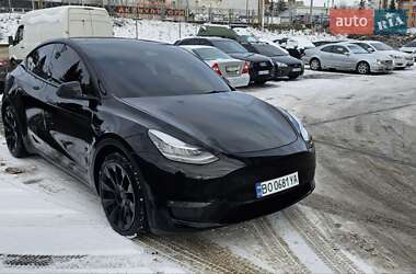 Внедорожник / Кроссовер Tesla Model Y 2021 в Тернополе