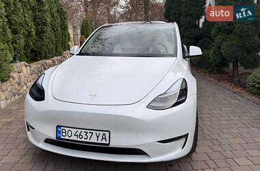 Внедорожник / Кроссовер Tesla Model Y 2024 в Тернополе