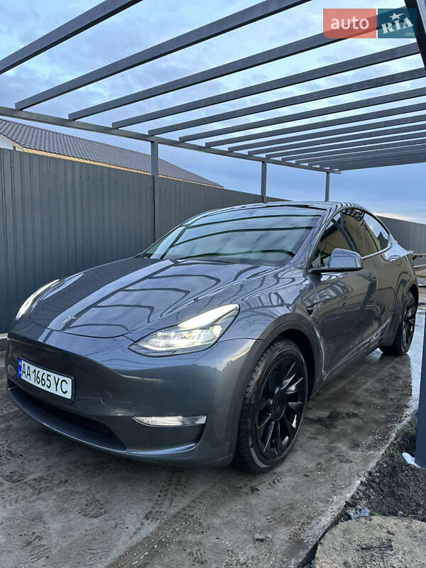 Позашляховик / Кросовер Tesla Model Y 2023 в Києві