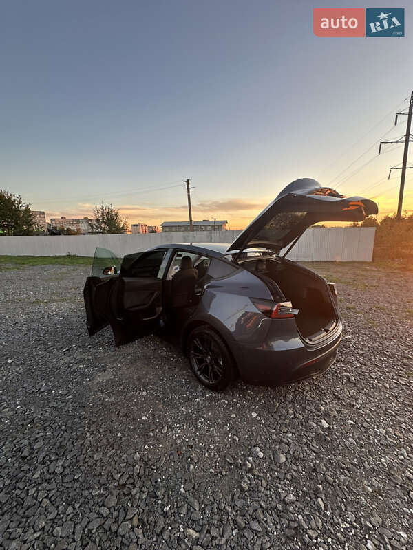 Внедорожник / Кроссовер Tesla Model Y 2022 в Хмельницком